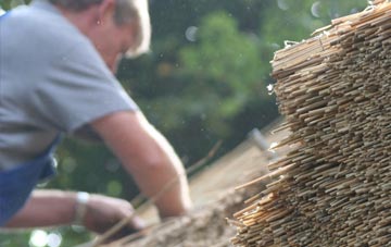 professional Stony Knaps thatchers