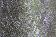 Stony Knaps fibreglass roof work